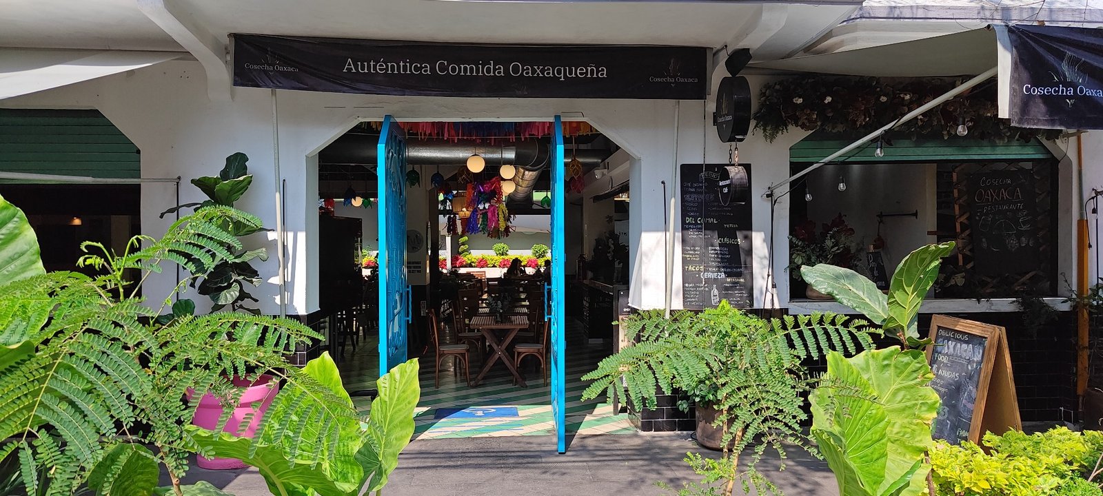 Entrada de Cosecha Oaxaca