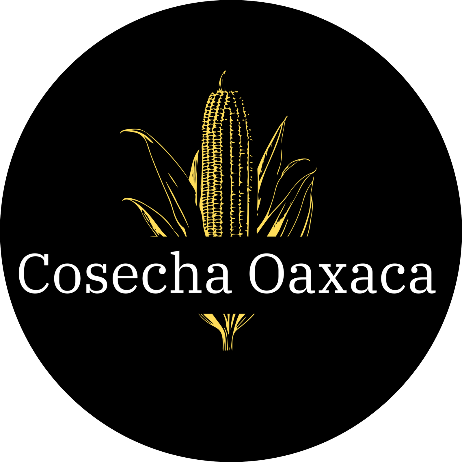 Cosecha Oaxaca