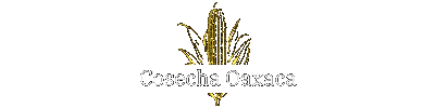 Cosecha Oaxaca